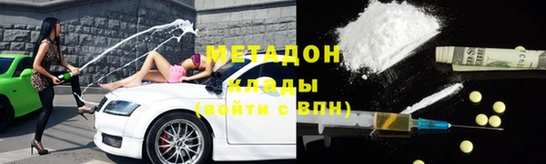 стаф Алзамай