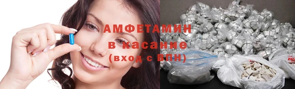 стаф Алзамай