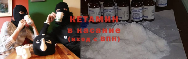 стаф Алзамай