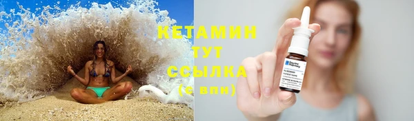 стаф Алзамай