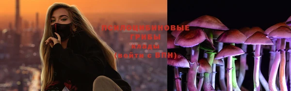 стаф Алзамай