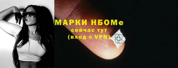 стаф Алзамай