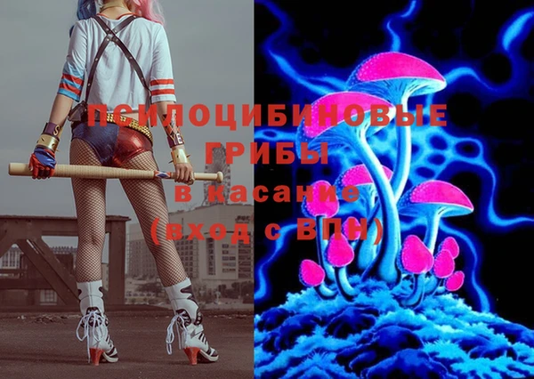 стаф Алзамай