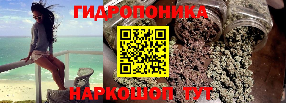 Каннабис индика Кольчугино